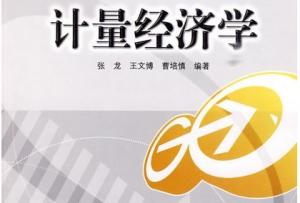 计量经济学 计量经济学