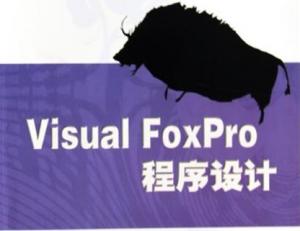 Visual.FoxPro程序设计