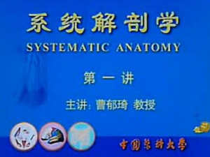 系统解剖学 系统解剖学
