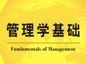 管理学基础 管理学基础