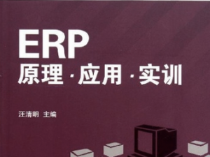 ERP原理与实施