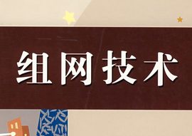 组网技术