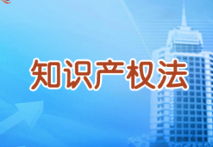 知识产权法 知识产权法