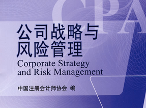 公司战略与风险管理