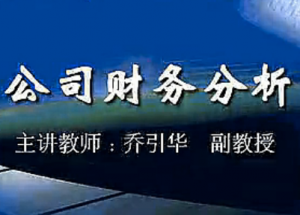 公司财务分析 公司财务分析