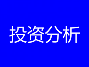 投资分析