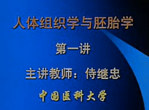 人体组织学与胚胎学