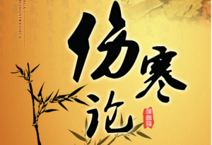 伤寒论