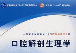 口腔解剖生理学