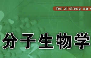 分子生物学 分子生物学