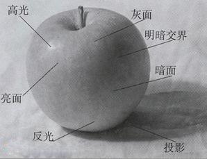 素描入门