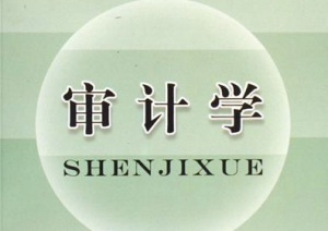 审计学 审计学