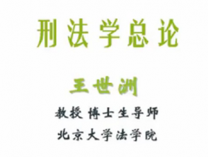 刑法学总论