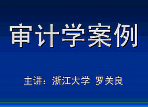 审计学案例