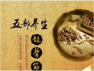 中医文化与养生