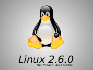 嵌入式Linux操作系统