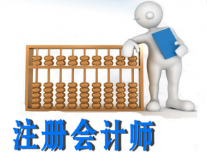 注册会计师/CPA